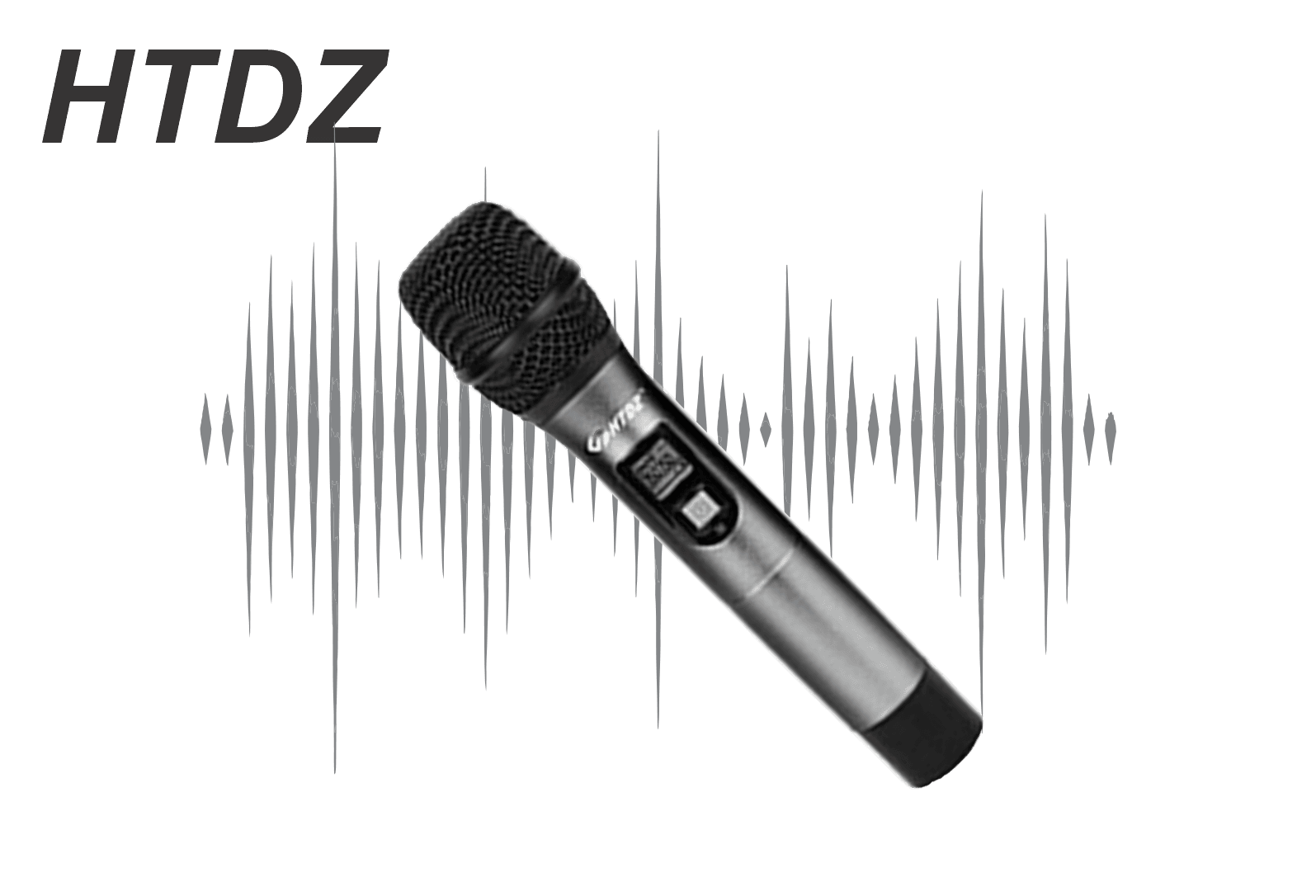 HTDZ Wireless Microphone
